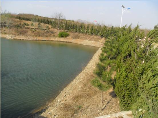 “水質(zhì)純凈”自2002年承包廢棄地、荒山治理種植茶葉以來，園區(qū)內(nèi)建造大口井