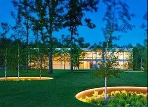 植物遇上燈光 不一樣的夜間風情與旅游開發項目策劃